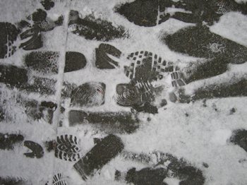 prints in snow
